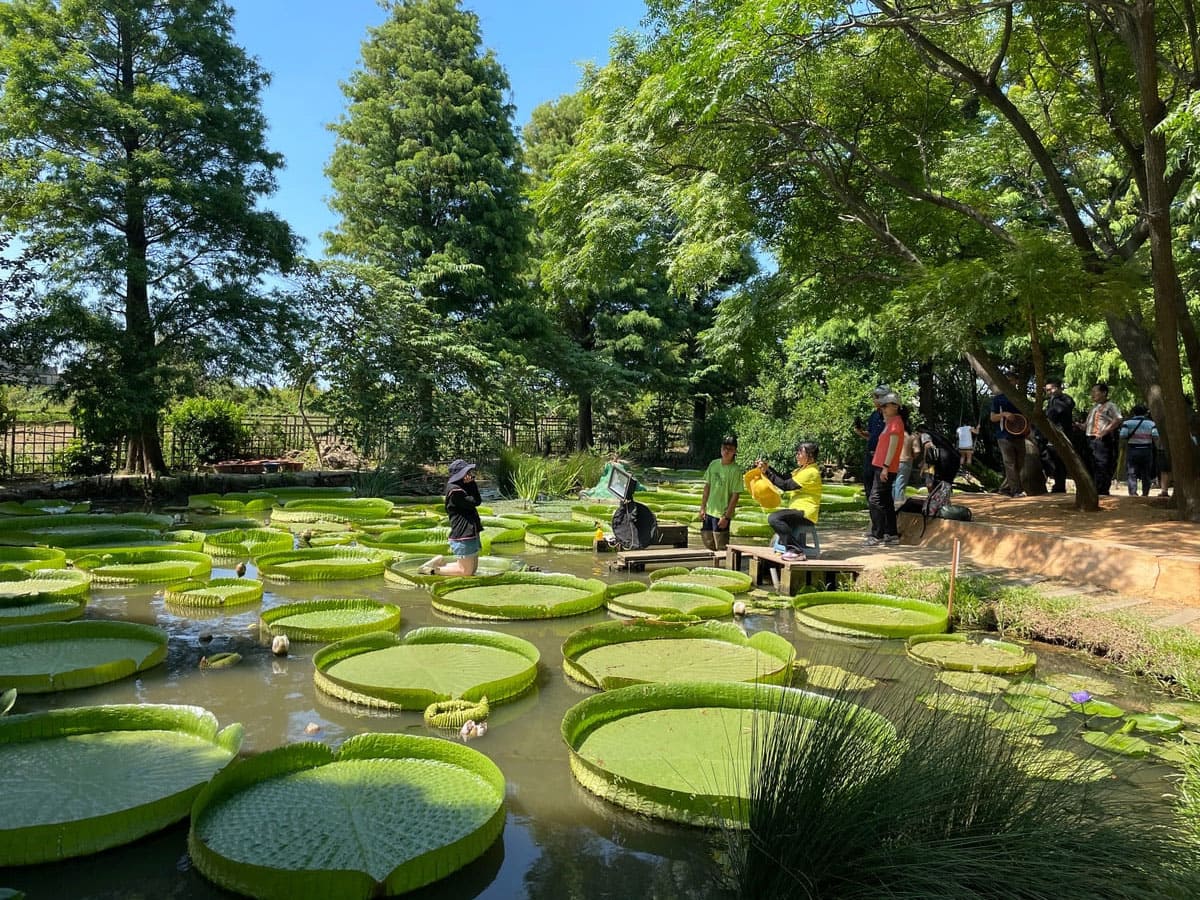 蓮荷園休閒農場