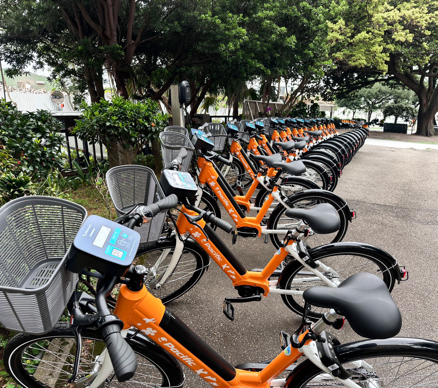 太平洋自行車博物館-車體改造